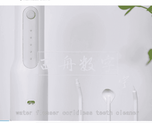 冲牙器